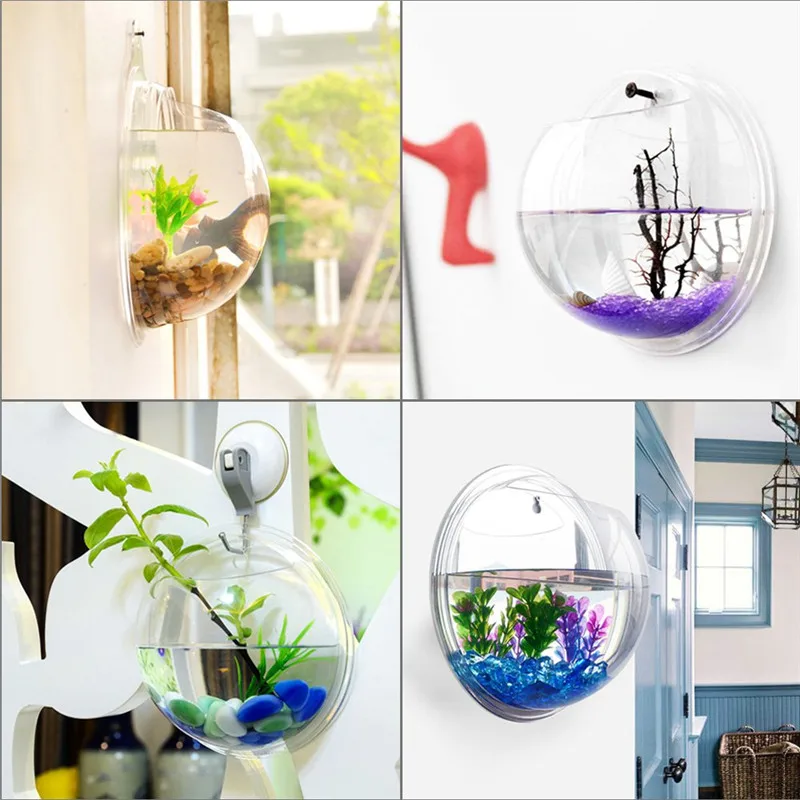 Acuario de pared colgante de a - Planted Aquarium Bowl reseña y precio