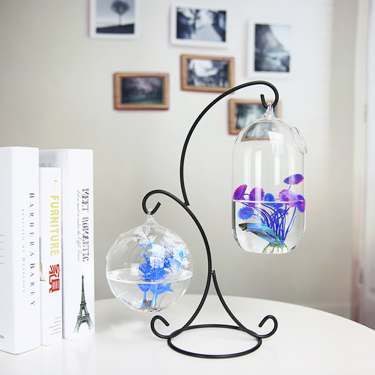 Botella de infusión para pecer - Planted Aquarium Bowl reseña y precio