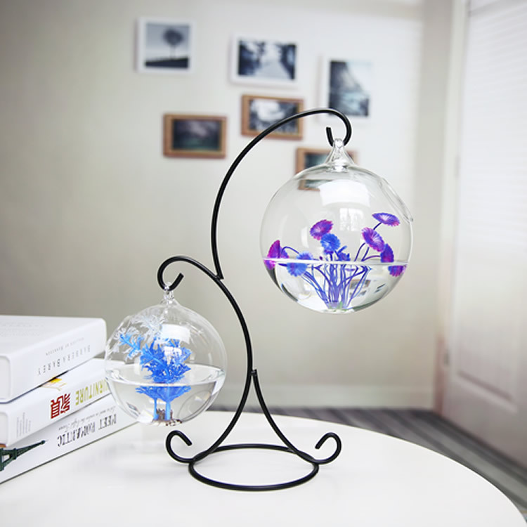 Botella de infusión para pecer - Planted Aquarium Bowl reseña y precio