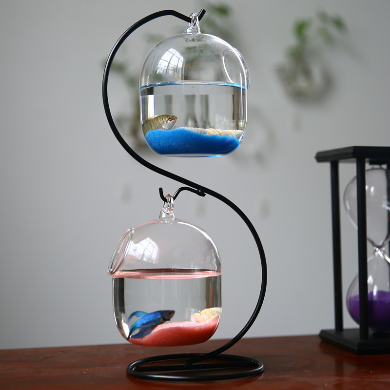 Botella de infusión para pecer - Planted Aquarium Bowl reseña y precio