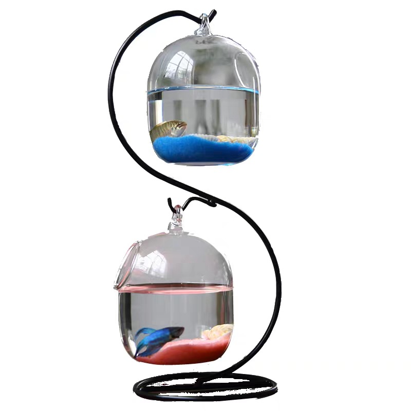 Botella de infusión para pecer - Planted Aquarium Bowl reseña y precio