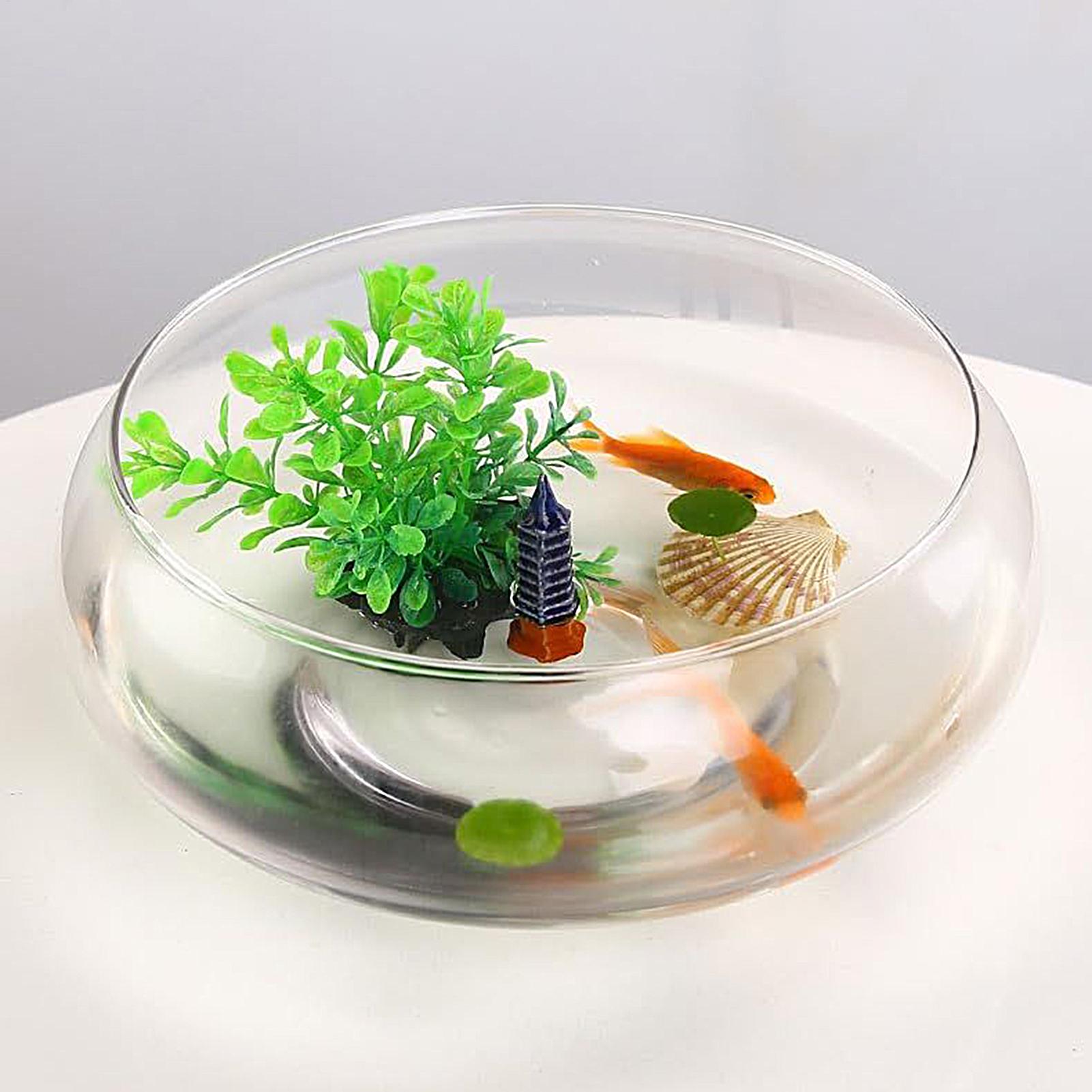 Cuenco de vidrio para peces, m - Planted Aquarium Bowl reseña y precio
