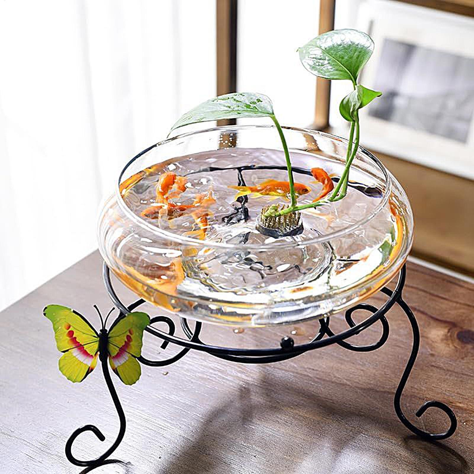 Cuenco de vidrio para peces, m - Planted Aquarium Bowl reseña y precio