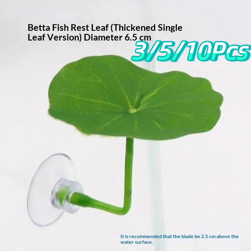 3/5/10 Piezas de Hojas de Loto - Planted Aquarium For Betta reseña y precio