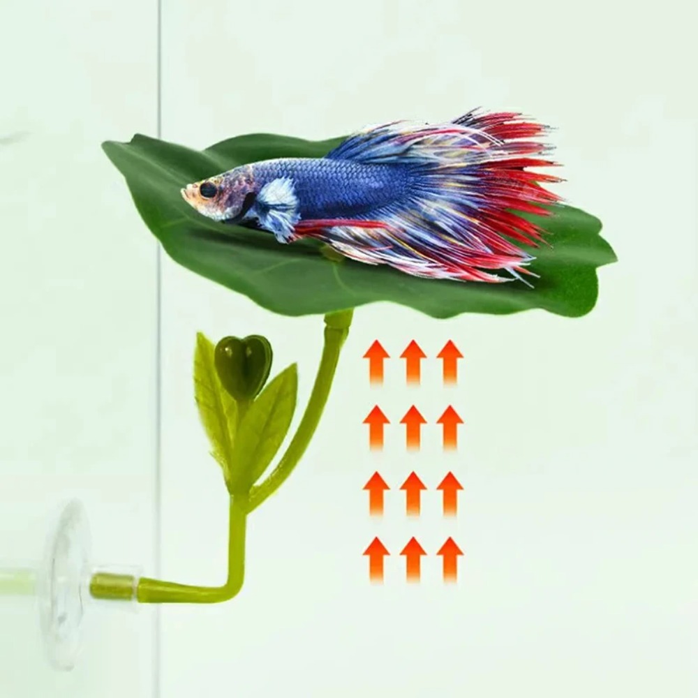 1 pieza de hamaca para peces B - Planted Aquarium For Betta reseña y precio