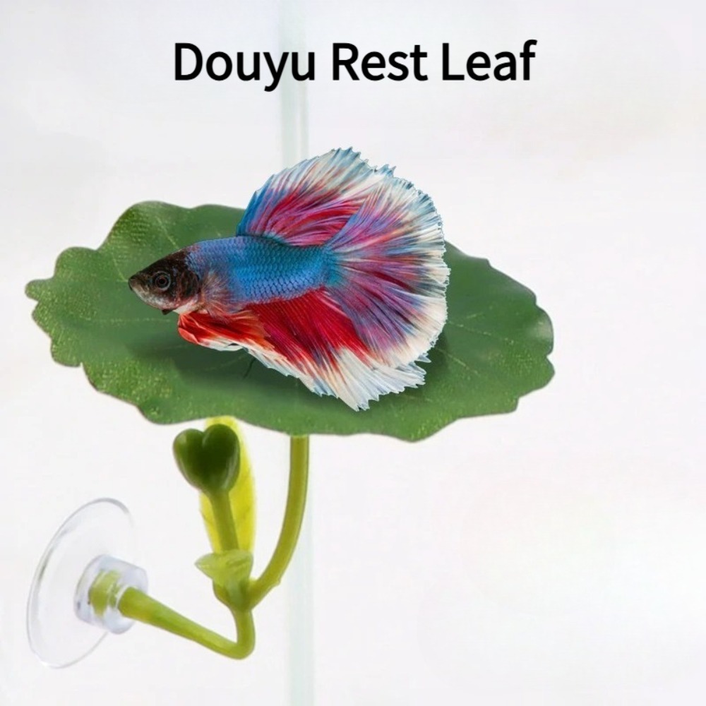 1 pieza de hamaca para peces B - Planted Aquarium For Betta reseña y precio