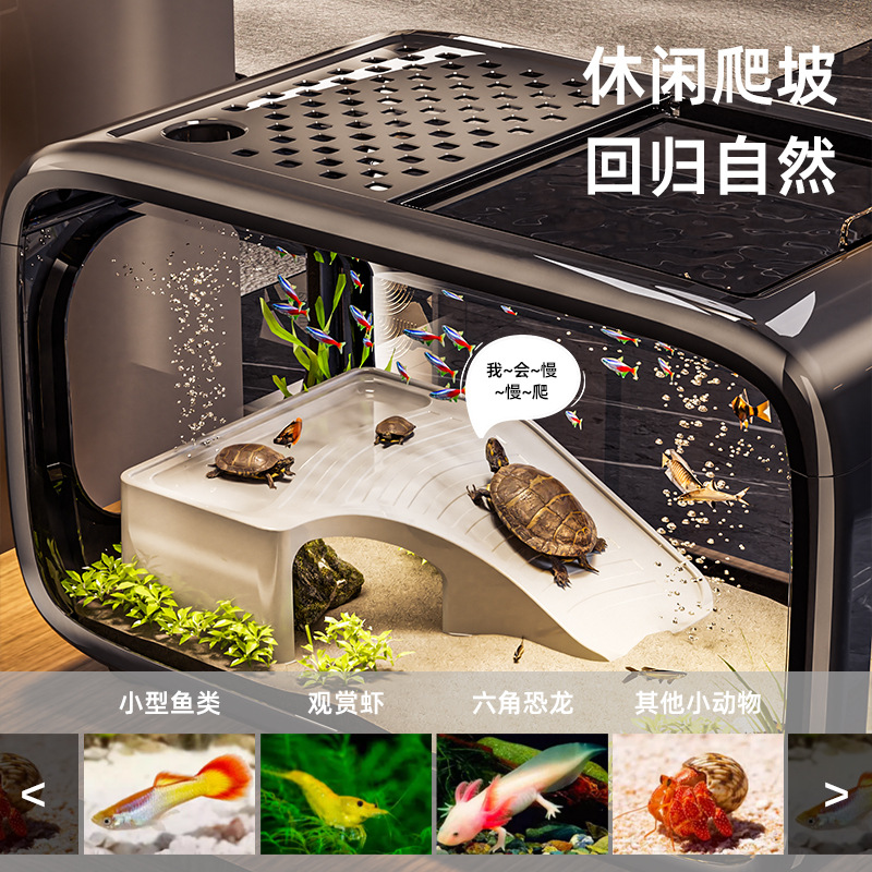 Accesorios para Peceras, Decor - Planted Aquarium Bowl reseña y precio