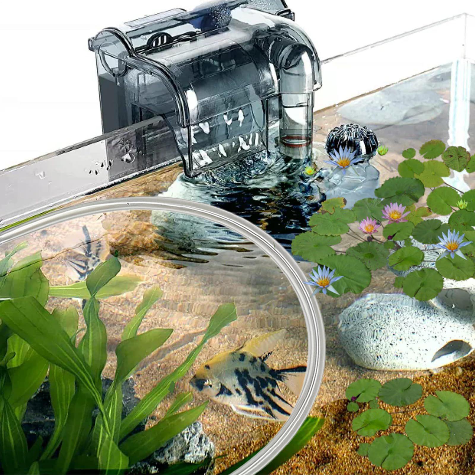 Barrera flotante para plantas  - Planted Aquarium For Betta reseña y precio