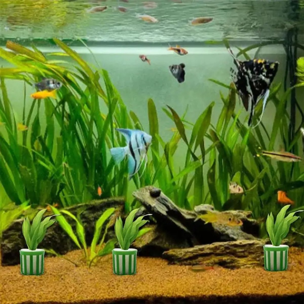 ABNQ Soporte Fijo para Plantas - Planted Aquarium Tool Kit reseña y precio