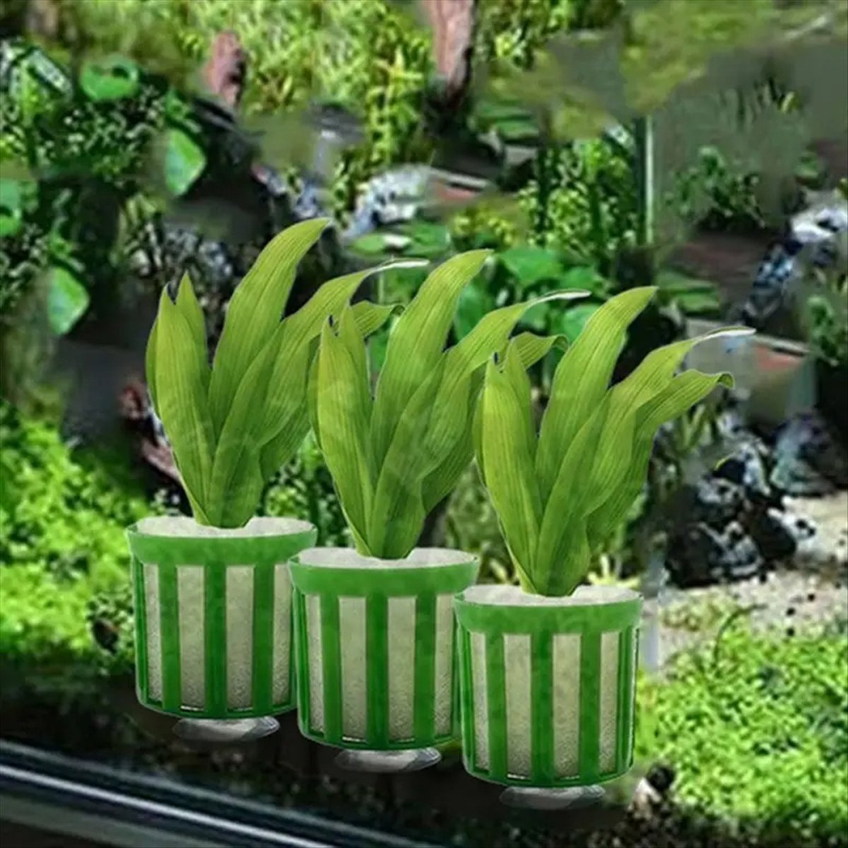 ABNQ Soporte Fijo para Plantas - Planted Aquarium Tool Kit reseña y precio